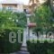 Villa Vicky_holidays_in_Villa_Crete_Heraklion_Chersonisos