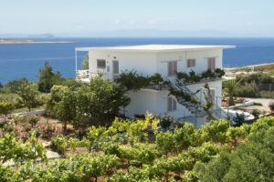 Villas Michalis_travel_packages_in_Crete_Chania_Akrotiri