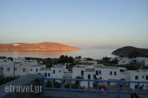 Medusa Rooms & Apartments_lowest prices_in_Apartment_Cyclades Islands_Serifos_Livadi