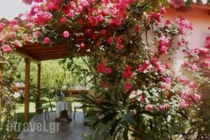 Le Jardin De Temeni_best prices_in_Hotel_Peloponesse_Achaia_Kalavryta