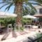 Kostas Apartments_accommodation_in_Apartment_Ionian Islands_Corfu_Corfu Rest Areas