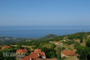 Erato 2_lowest prices_in_Room_Macedonia_Pieria_Paleos Panteleimonas