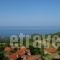 Erato 2_lowest prices_in_Room_Macedonia_Pieria_Paleos Panteleimonas