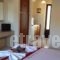 Antonio Studios_holidays_in_Hotel_Ionian Islands_Zakinthos_Zakinthos Rest Areas