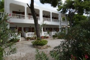 Maria Studios_best deals_Hotel_Sporades Islands_Alonnisos_Patitiri