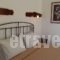 Chrysoula's Guest House_holidays_in_Hotel_Sporades Islands_Skiathos_Skiathos Chora