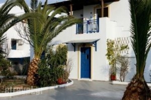 Minas Studios_lowest prices_in_Hotel_Cyclades Islands_Naxos_Agios Prokopios