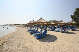 Hotel Rigakis_lowest prices_in_Hotel_Macedonia_Halkidiki_Kassandreia