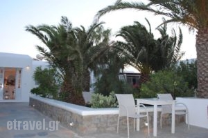 Hotel Milena_lowest prices_in_Hotel_Cyclades Islands_Mykonos_Mykonos Chora