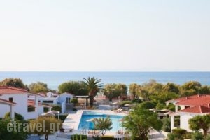 Fito Bay_accommodation_in_Hotel_Aegean Islands_Samos_Pythagorio