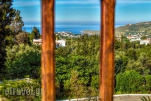 Mainades Maisonettes & Studios_accommodation_in_Room_Cyclades Islands_Andros_Andros Rest Areas