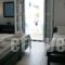 Elia Studios_lowest prices_in_Hotel_Cyclades Islands_Naxos_Naxos chora