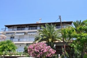 Kalogeraki Studios_accommodation_in_Hotel_Aegean Islands_Thasos_Potos