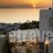 Damianos Mykonos Hotel_accommodation_in_Hotel_Cyclades Islands_Mykonos_Mykonos Chora