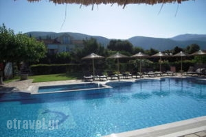 Stalaktites Studios_accommodation_in_Apartment_Ionian Islands_Kefalonia_Kefalonia'st Areas