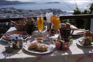 La Veranda of Mykonos Traditional Guesthouse_best prices_in_Hotel_Cyclades Islands_Mykonos_Mykonos Chora