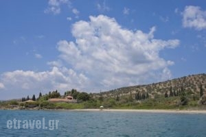 Leto Hotel_lowest prices_in_Hotel_PiraeusIslands - Trizonia_Hydra_Hydra Chora