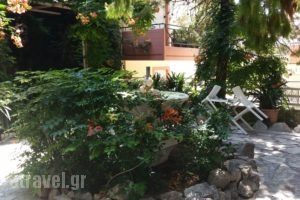 Pension Alkistis_lowest prices_in_Room_Peloponesse_Argolida_Tolo