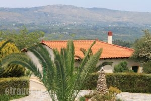 Aspalathos Villas_best prices_in_Villa_Crete_Chania_Vryses Apokoronas