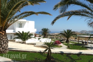 Mirsini Studios_travel_packages_in_Cyclades Islands_Paros_Paros Chora