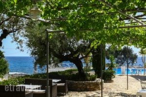 Cardamili Beach Hotel_lowest prices_in_Hotel_Thessaly_Magnesia_Pilio Area