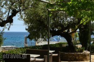 Cardamili Beach Hotel_best prices_in_Hotel_Thessaly_Magnesia_Pilio Area