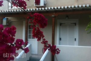 Theo Studios_best prices_in_Hotel_Piraeus Islands - Trizonia_Spetses_Spetses Chora