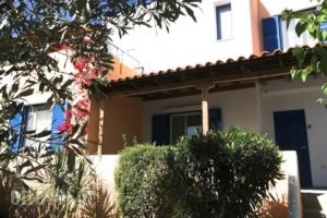 Katerina'S Bungalows_accommodation_in_Hotel_Central Greece_Evia_Limni