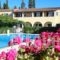 Kalypso Apartments_travel_packages_in_Ionian Islands_Corfu_Kondokali