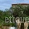 Hotel Helios Splendid_best deals_Hotel_Ionian Islands_Corfu_Corfu Rest Areas