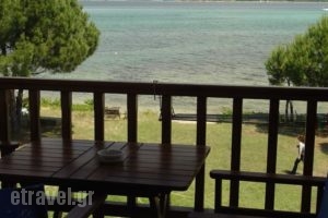 Studios Efi_best deals_Hotel_Macedonia_Halkidiki_Chalkidiki Area