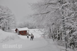 Pleiades Ski-In Ski-out Hotel