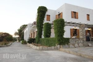 Swiss Home Hotel_best deals_Hotel_Cyclades Islands_Paros_Paros Chora