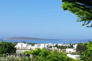 Narkissos Studios_accommodation_in_Hotel_Cyclades Islands_Antiparos_Antiparos Rest Areas