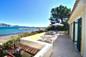 Turtle Beach_best deals_Apartment_Ionian Islands_Zakinthos_Agios Sostis