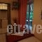 Nostos_holidays_in_Apartment_Thessaly_Larisa_Nea Mesagkala