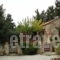 Manolis House_best deals_Room_Crete_Chania_Kalyves