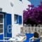 Gryparis' Club Apartments_lowest prices_in_Apartment_Cyclades Islands_Mykonos_Ornos