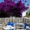 Gryparis' Club Apartments_best prices_in_Apartment_Cyclades Islands_Mykonos_Ornos