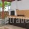 Studios Stefania_best prices_in_Hotel_Aegean Islands_Thasos_Chrysi Ammoudia