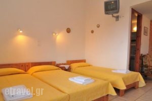 Studios Stefania_holidays_in_Hotel_Aegean Islands_Thasos_Chrysi Ammoudia