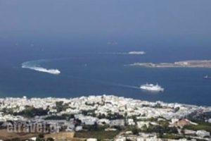 Pavlis Studios & Rooms_lowest prices_in_Room_Cyclades Islands_Paros_Paros Chora