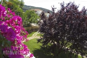 Rousis Studios_lowest prices_in_Hotel_Epirus_Preveza_Parga