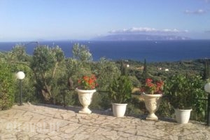 Aristea Studios_accommodation_in_Hotel_Ionian Islands_Kefalonia_Kefalonia'st Areas