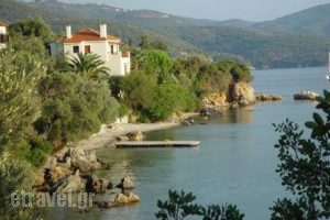 Villa Electra_accommodation_in_Villa_Thessaly_Magnesia_Chorto