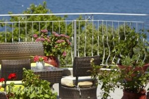 Hotel Alkyonis_lowest prices_in_Hotel_Macedonia_Pieria_Dion