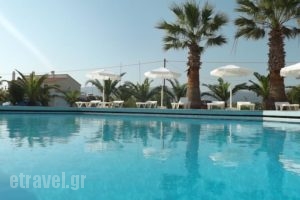 Leonidas Hotel &Amp; Studios_travel_packages_in_Dodekanessos Islands_Kos_Kos Chora