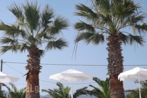 Leonidas Hotel &Amp; Studios_best prices_in_Hotel_Dodekanessos Islands_Kos_Kos Chora