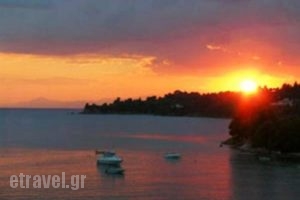 Kolios Beach Seaview Studios_best prices_in_Hotel_Sporades Islands_Skiathos_Skiathosst Areas