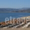 Houdis Houses_holidays_in_Room_Peloponesse_Arcadia_Doliana